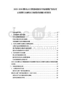 2025-2030騰訊云計算基礎服務市場規模擴張私有云部署行業解決方案需求前瞻分析報告