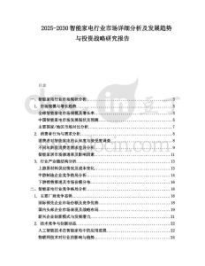 2025-2030智能家電行業(yè)市場詳細分析及發(fā)展趨勢與投資戰(zhàn)略研究報告