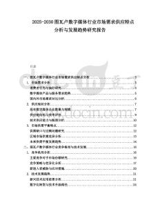 2025-2030圖瓦盧數(shù)字媒體行業(yè)市場需求供應(yīng)特點分析與發(fā)展趨勢研究報告
