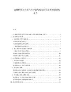 公路橋梁工程耐久性評估與病害防治遠(yuǎn)期規(guī)劃研究報(bào)告