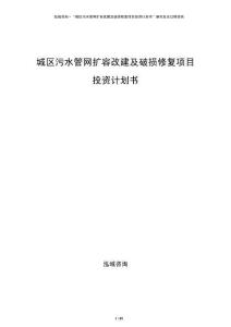 城區(qū)污水管網(wǎng)擴(kuò)容改建及破損修復(fù)項目投資計劃書