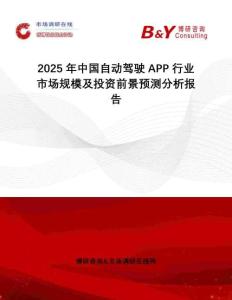2025年中國自動駕駛APP行業市場規模及投資前景預測分析報告