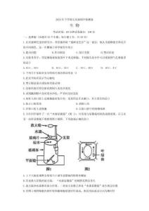 湖南省常德市桃源縣文昌中學2025-2026學年七年級上學期生物期中檢測試卷（含答案）