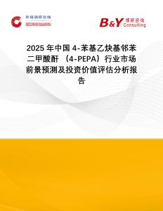 2025年中國4-苯基乙炔基鄰苯二甲酸酐 （4-PEPA）行業市場前景預測及投資價值評估分析報告