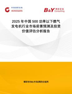 2025年中國500功率以下燃氣發電機行業市場前景預測及投資價值評估分析報告