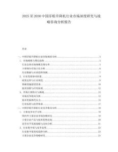 2025至2030中國浮船升降機行業(yè)市場深度研究與戰(zhàn)略咨詢分析報告