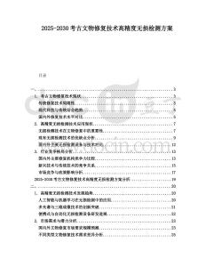 2025-2030考古文物修復技術(shù)高精度無損檢測方案