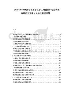 2025-2030摩洛哥手工手工手工地毯編織行業(yè)供需格局研究及摩爾風(fēng)格投資項目等