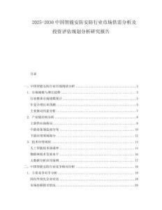 2025-2030中國智能安防安防行業市場供需分析及投資評估規劃分析研究報告