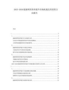 2025-2030能源利用效率提升市場(chǎng)機(jī)遇及其投資方向報(bào)告
