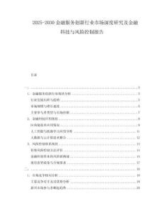 2025-2030金融服務(wù)創(chuàng)新行業(yè)市場深度研究及金融科技與風(fēng)險控制報告