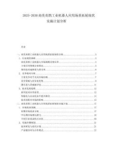 2025-2030南美喜鹊工业机器人应用场景拓展现状实施计划分析