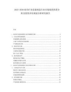 2025-2030南非礦業設備制造行業市場現狀供需分析及投資評估規劃分析研究報告