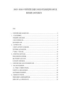 2025-2030中國(guó)智慧交通行業(yè)技術(shù)發(fā)展趨勢(shì)分析及投資潛力研究報(bào)告