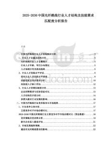 2025-2030中國光纖跳線行業人才結構及技能需求匹配度分析報告