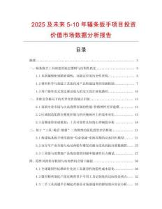 2025及未來5-10年輻條扳手項目投資價值市場數(shù)據(jù)分析報告