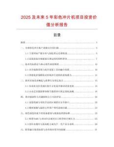 2025及未來5年彩色沖片機項目投資價值分析報告