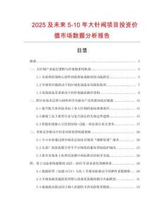 2025及未來5-10年大針閥項目投資價值市場數據分析報告