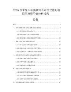 2025及未來5年高效轉子組合式選粉機項目投資價值分析報告