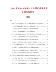 2025及未來5年指針式水平尺項目投資價值分析報告