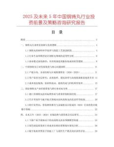 2025及未來5年中國鋼鑄丸行業投資前景及策略咨詢研究報告
