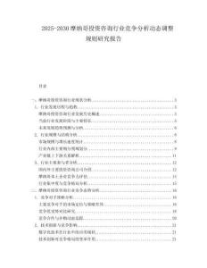 2025-2030摩納哥投資咨詢行業競爭分析動態調整規則研究報告