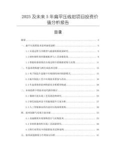 2025及未来5年扁平压线钳项目投资价值分析报告