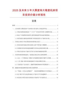 2025及未來5年大厚度特大錐度機床項目投資價值分析報告