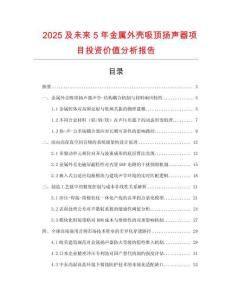 2025及未來5年金屬外殼吸頂揚聲器項目投資價值分析報告