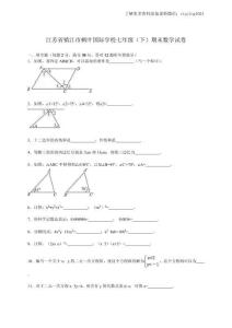 2021《中考提分大全》江蘇省鎮(zhèn)江市楓葉國際學(xué)校七年級下學(xué)期期末數(shù)學(xué)試卷（解析版）