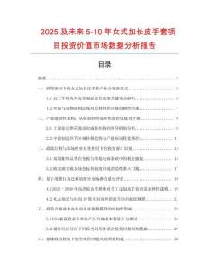 2025及未來5-10年女式加長皮手套項目投資價值市場數據分析報告