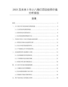 2025及未來(lái)5年小八角燈項(xiàng)目投資價(jià)值分析報(bào)告