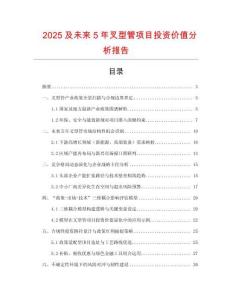 2025及未來5年叉型管項目投資價值分析報告