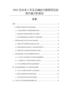 2025及未來5年壓花編織方眼網項目投資價值分析報告