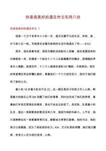 你是我美好的遇見作文實用八份
