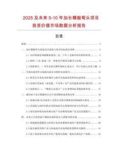 2025及未來5-10年加長精拋彎頭項目投資價值市場數據分析報告