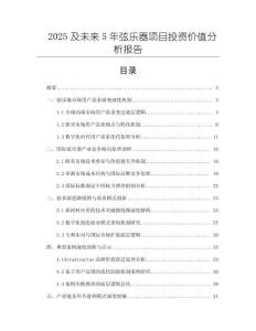 2025及未來5年弦樂器項目投資價值分析報告