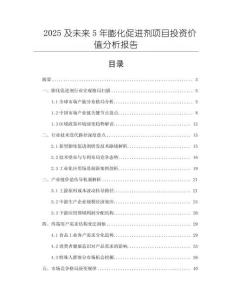 2025及未來5年膨化促進(jìn)劑項(xiàng)目投資價值分析報(bào)告