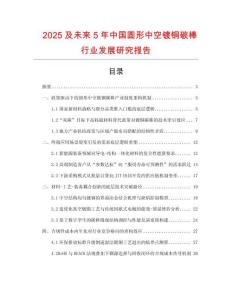 2025及未來5年中國圓形中空鍍銅碳棒行業發展研究報告