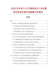 2025及未來5-10年數碼機E1變壓器項目投資價值市場數據分析報告