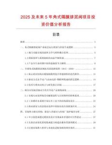 2025及未來(lái)5年角式隔膜排泥閥項(xiàng)目投資價(jià)值分析報(bào)告