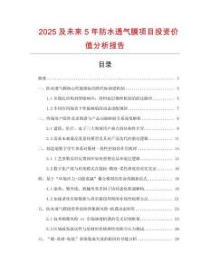2025及未來5年防水透氣膜項(xiàng)目投資價(jià)值分析報(bào)告