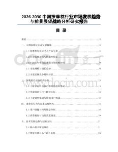 2026-2030中國按摩枕行業(yè)市場發(fā)展趨勢與前景展望戰(zhàn)略分析研究報告