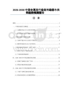 2026-2030中國金屬硅行業盈利動態與供需趨勢預測報告