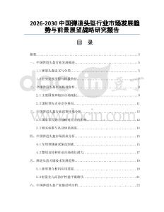 2026-2030中國彈道頭盔行業(yè)市場發(fā)展趨勢與前景展望戰(zhàn)略研究報告
