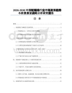 2026-2030中國輪輻線行業市場發展趨勢與前景展望戰略分析研究報告