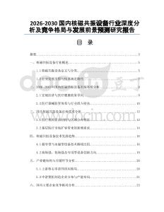 2026-2030國內(nèi)核磁共振設備行業(yè)深度分析及競爭格局與發(fā)展前景預測研究報告
