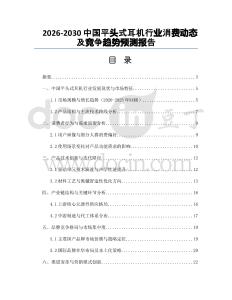 2026-2030中國平頭式耳機行業消費動態及競爭趨勢預測報告