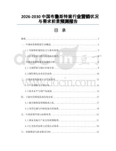 2026-2030中國(guó)布魯斯特窗行業(yè)營(yíng)銷狀況與需求前景預(yù)測(cè)報(bào)告