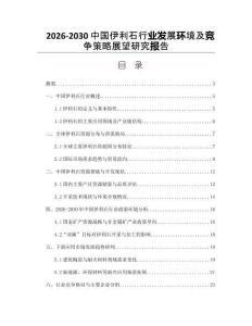 2026-2030中國伊利石行業發展環境及競爭策略展望研究報告
